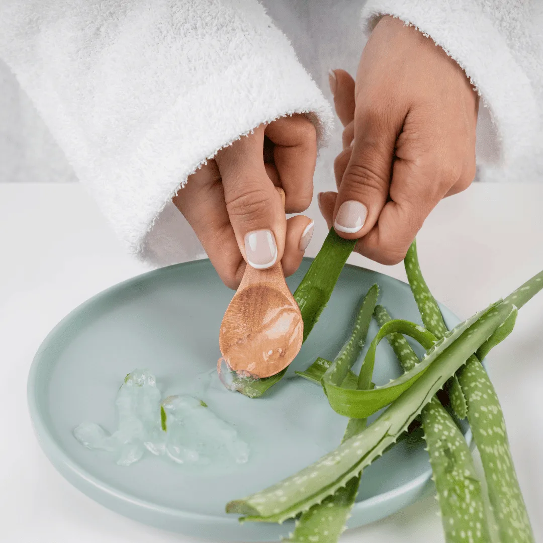 Aloe Vera Gel selbstgemacht