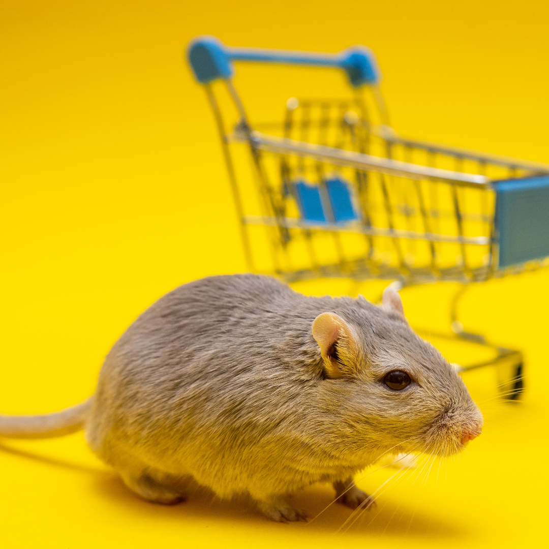 Ratte vor dem Einkaufswagen - Tierversuche für Lebensmittel