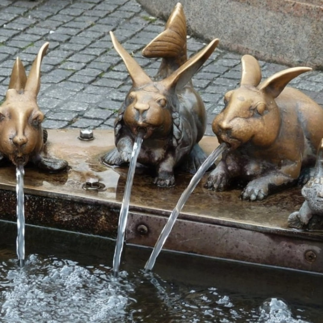 Tierversuche und alternative Forschung • Konstanz statt Kaninchen